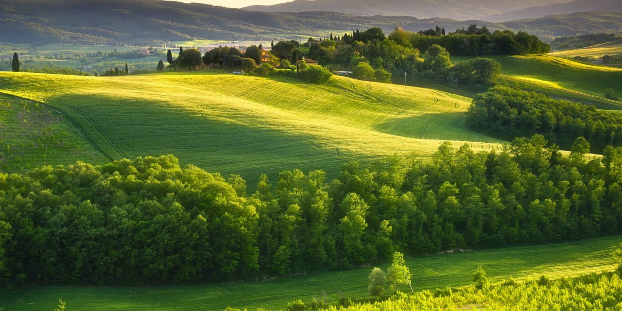 GLI ANNI DELLE VERDI COLLINE di Domenico Intini