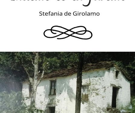 Insieme ce la faremo di Stefania De Girolamo