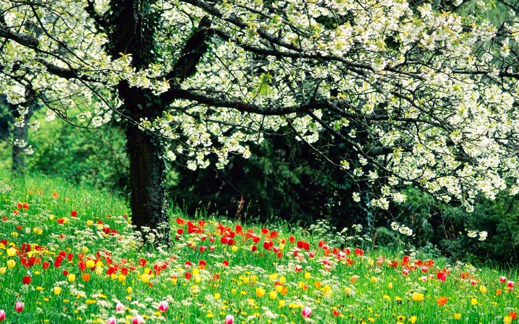 La poesia del giorno: Filastrocca di primavera di Gianni Rodari