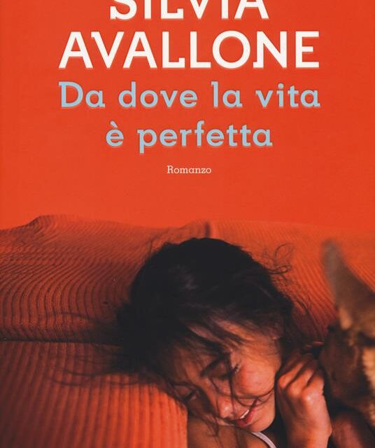 Da dove la vita è perfetta  di Silvia Avallone